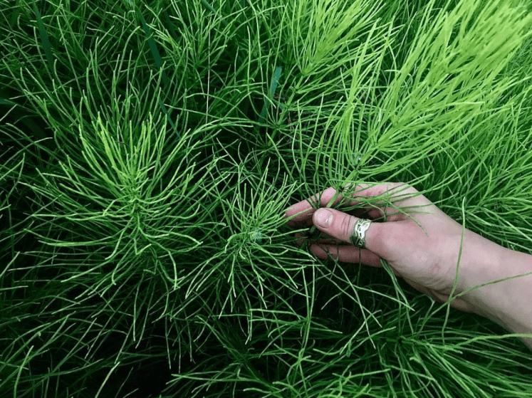 screen shot 2019-01-03 at 10.25.46 am