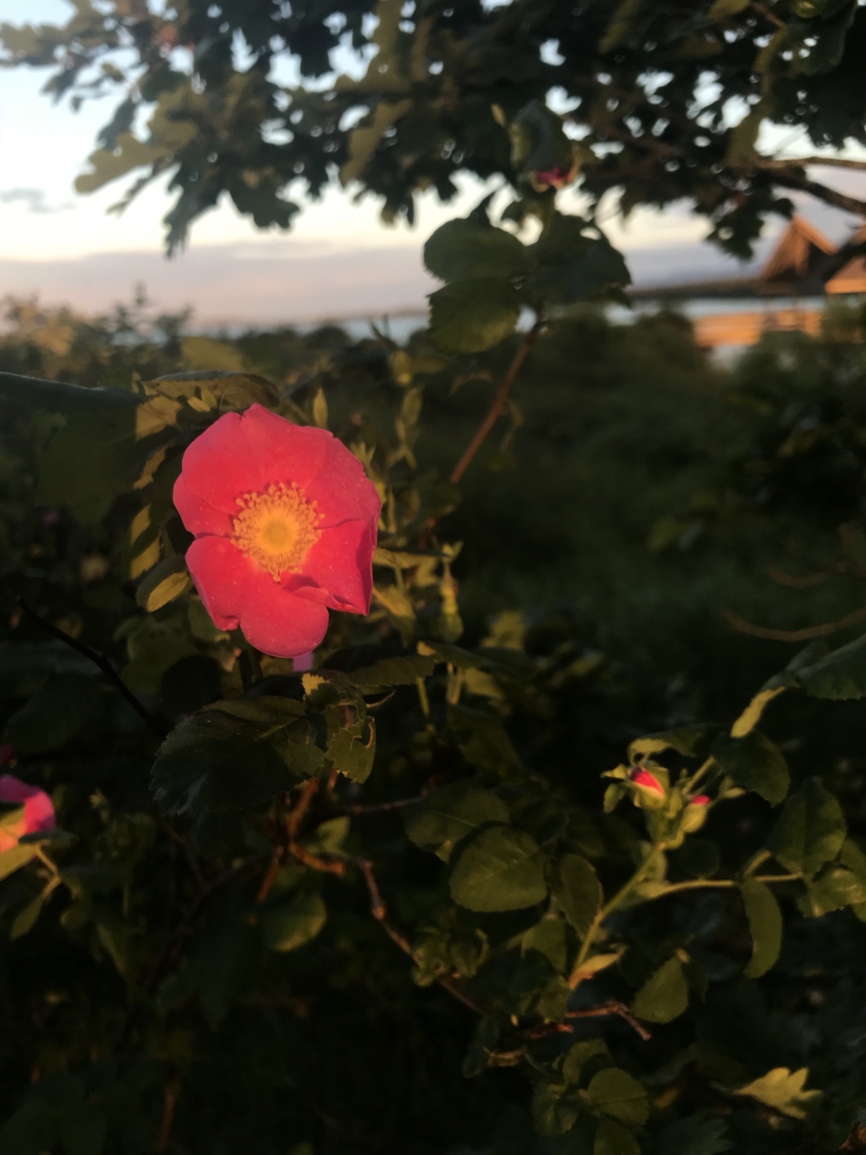 fTkEXhbyRAuid6hKljVFew