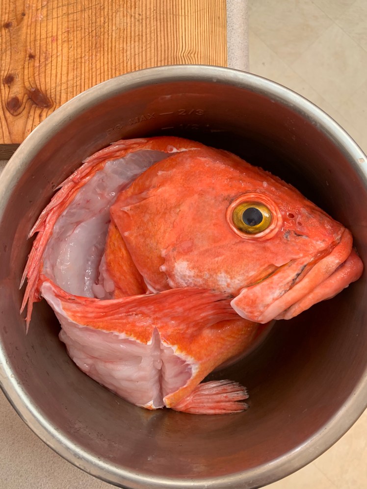 oTwPLg9bR2GFTO+T6K9DNg